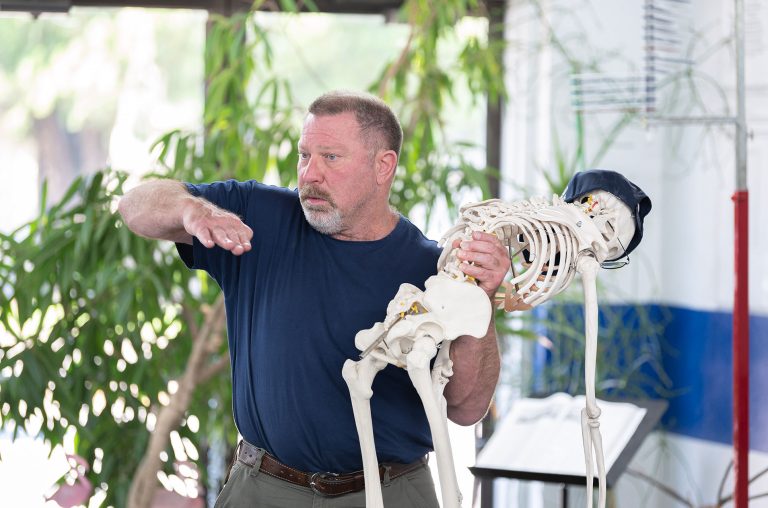 rip anatomy 768x508