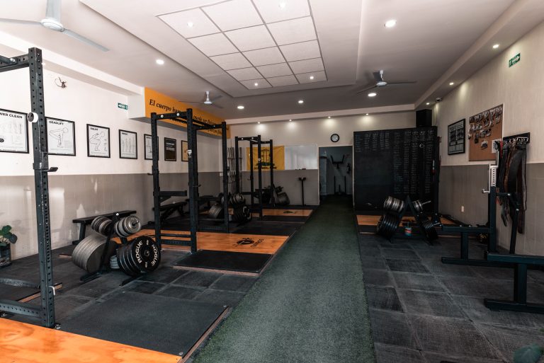 DSC00772 768x513
